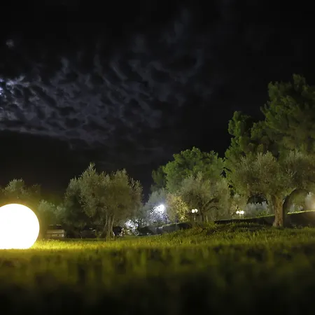 酒店 德优利维酒店