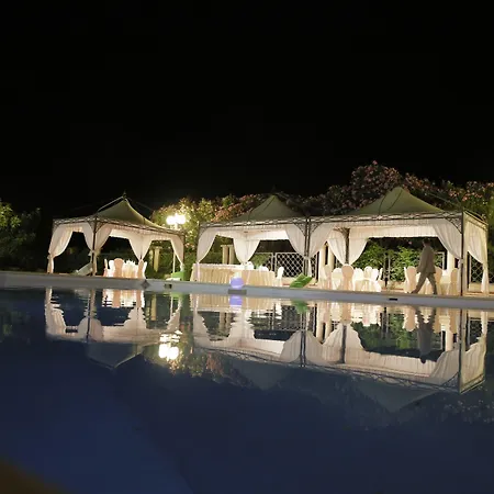 德优利维酒店 酒店