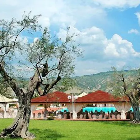 Degli Ulivi 3*