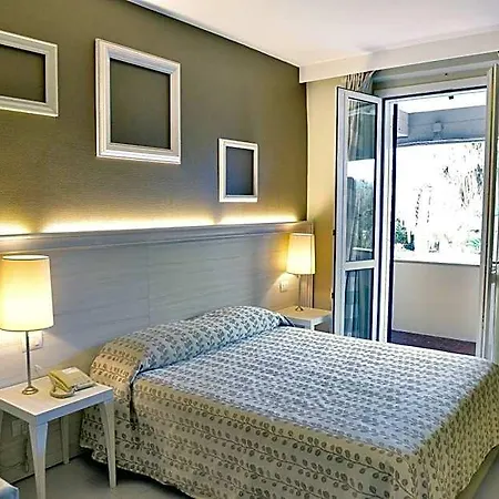 Degli Ulivi Hotel 3*