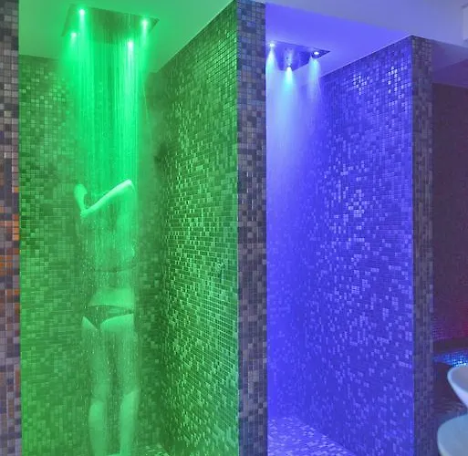 Degli Ulivi Hotel 3*